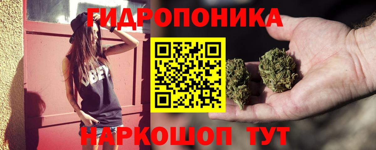 Бошки марихуана THC 21% Новотроицк